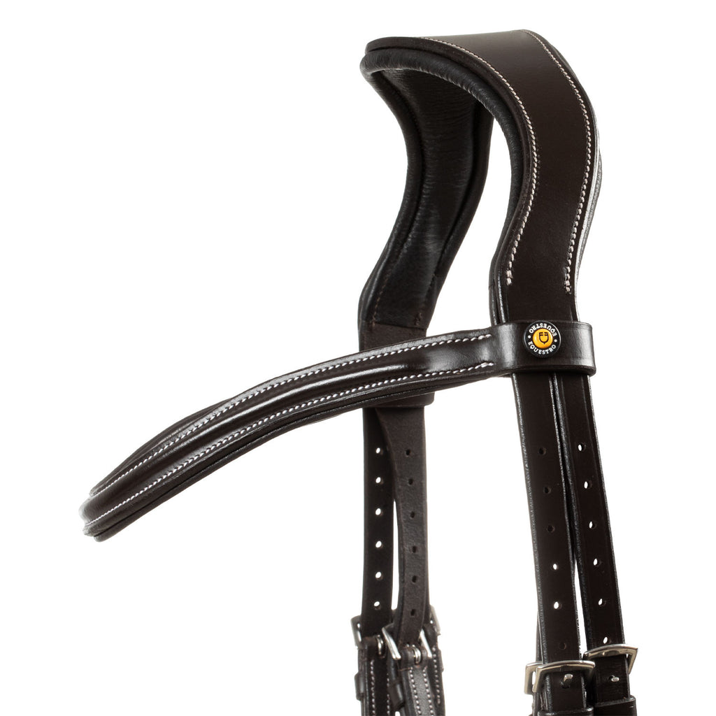Mexican leather bridle