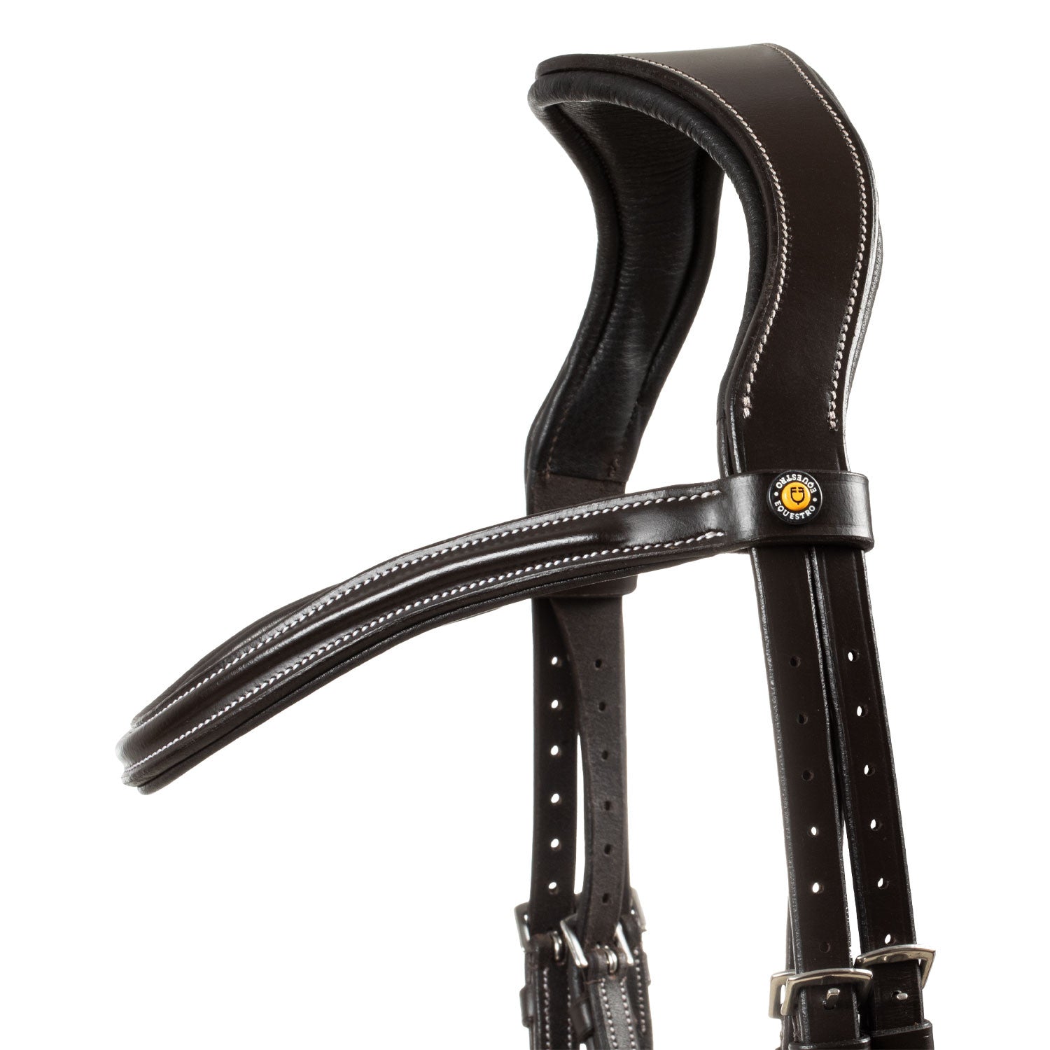 Mexican leather bridle