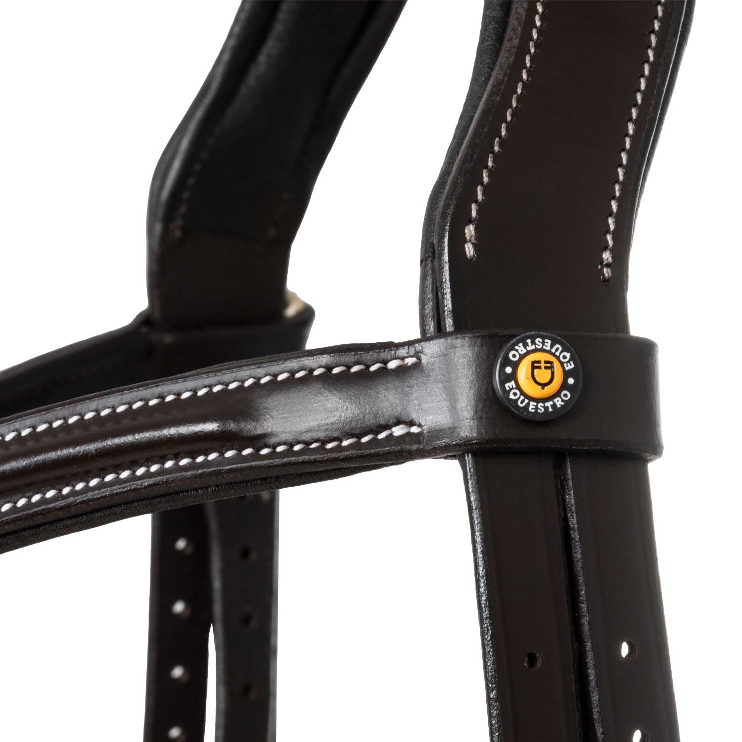 Mexican leather bridle