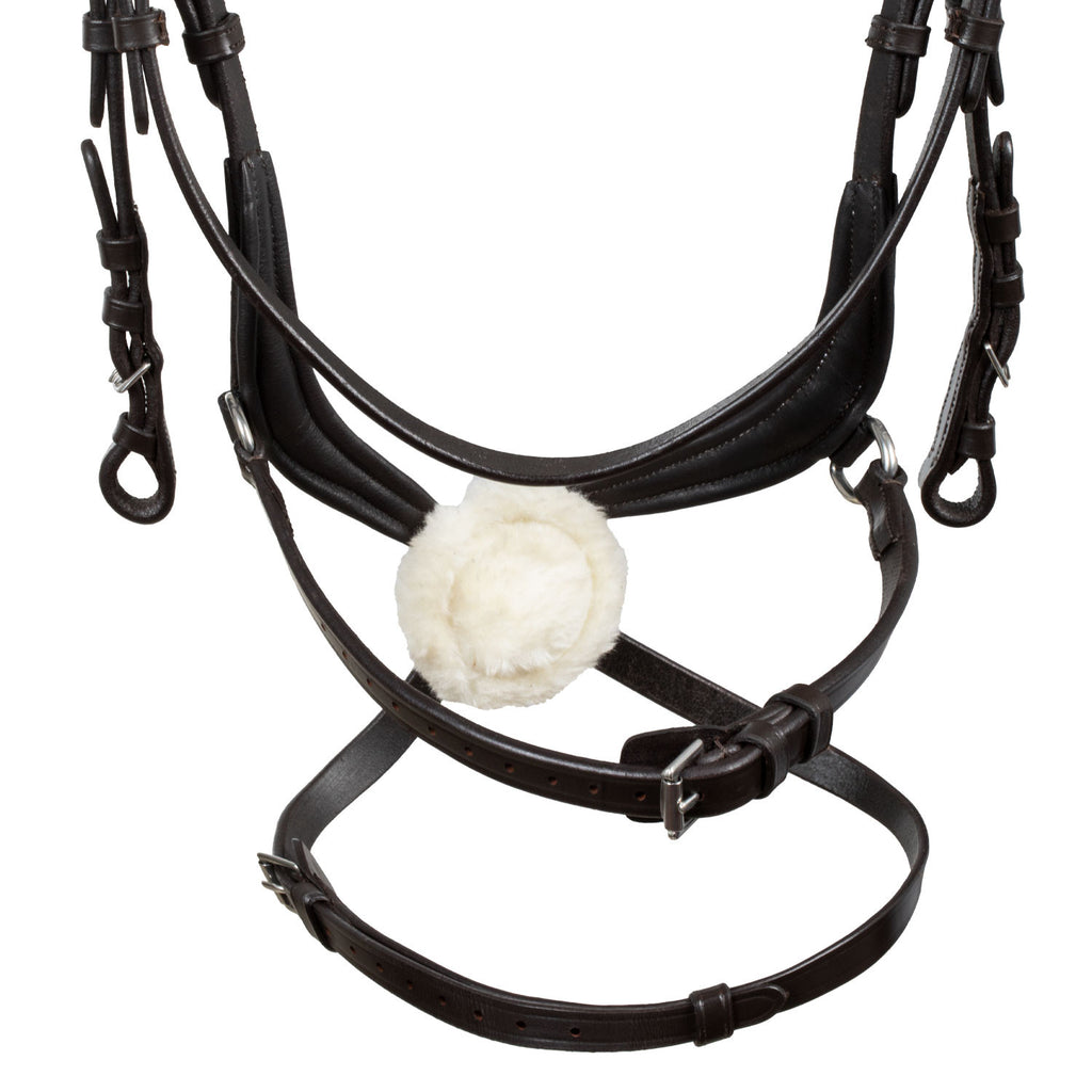 Mexican leather bridle
