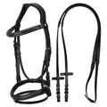Raised and padded anatomical bridle