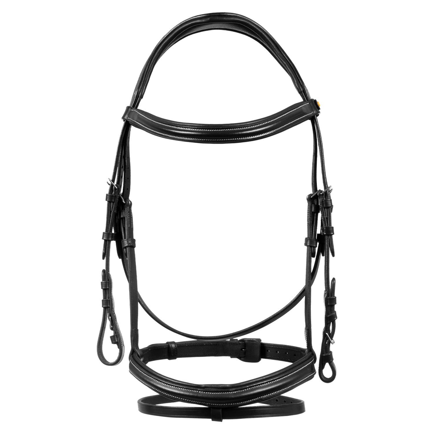 Raised and padded anatomical bridle