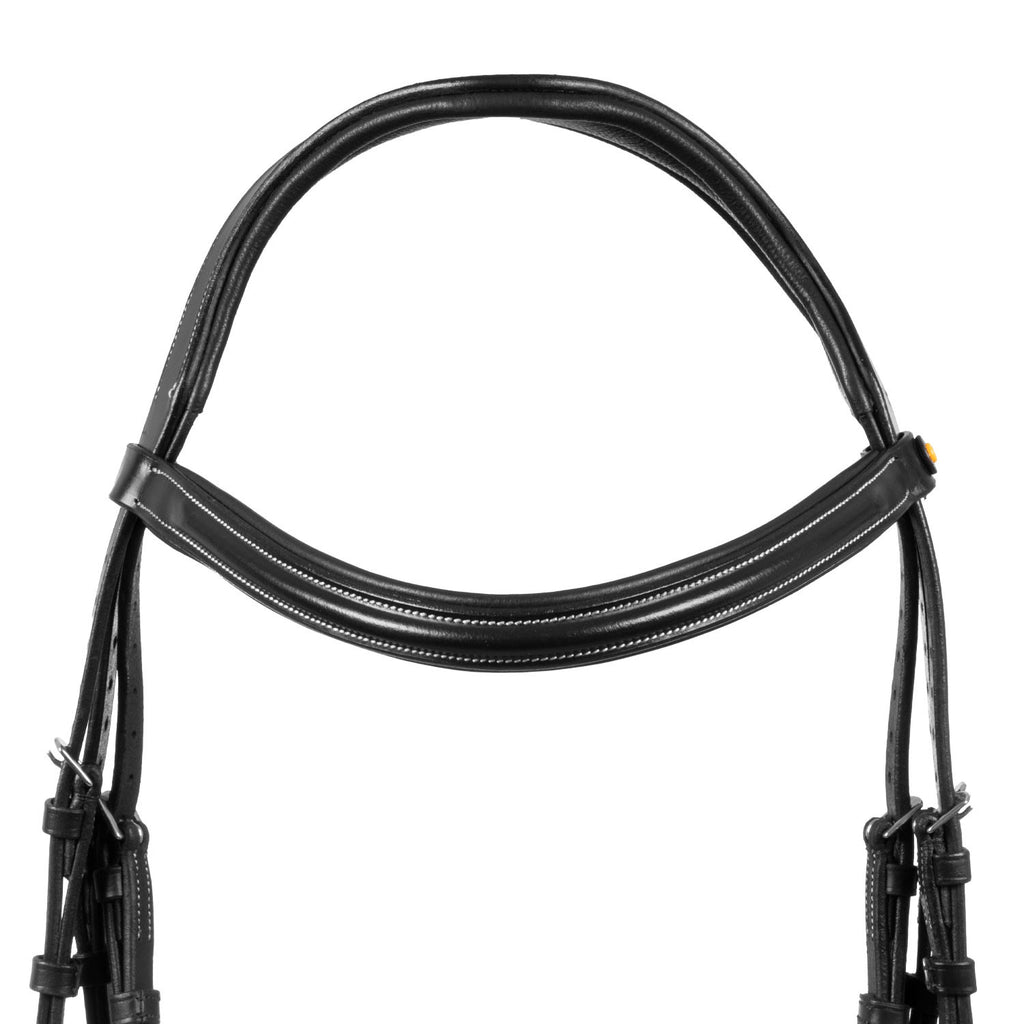 Raised and padded anatomical bridle