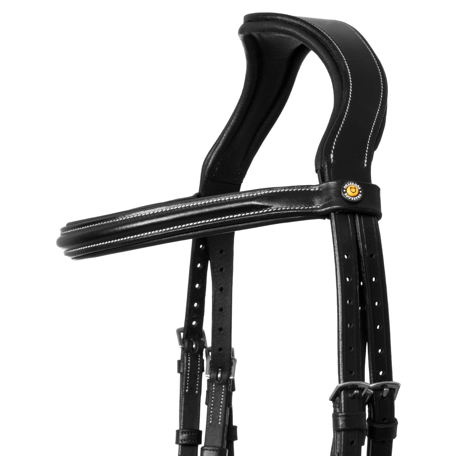 Raised and padded anatomical bridle