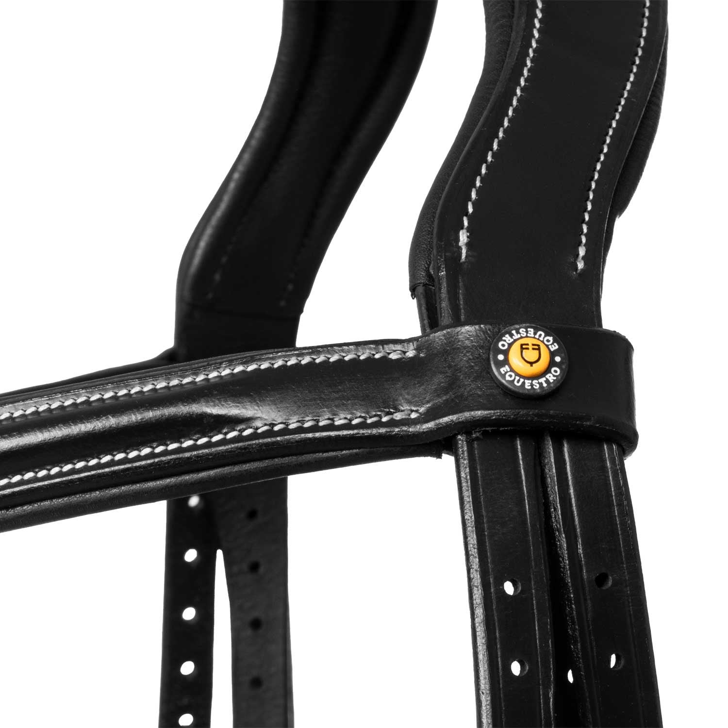 Raised and padded anatomical bridle