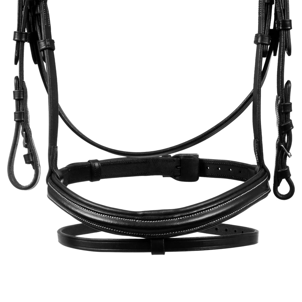 Raised and padded anatomical bridle