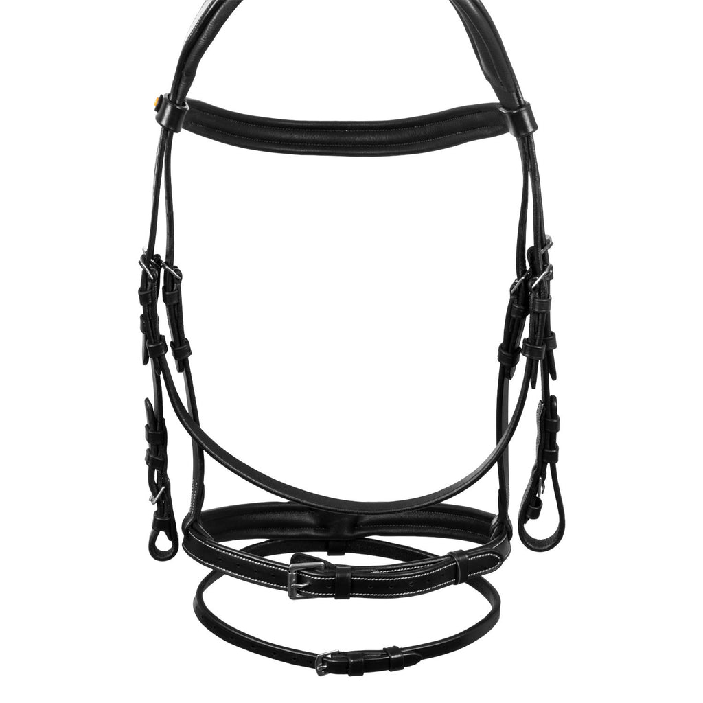Raised and padded anatomical bridle