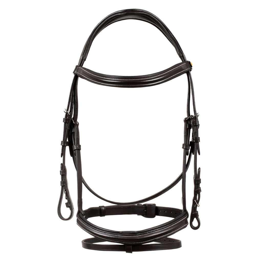 Raised and padded anatomical bridle