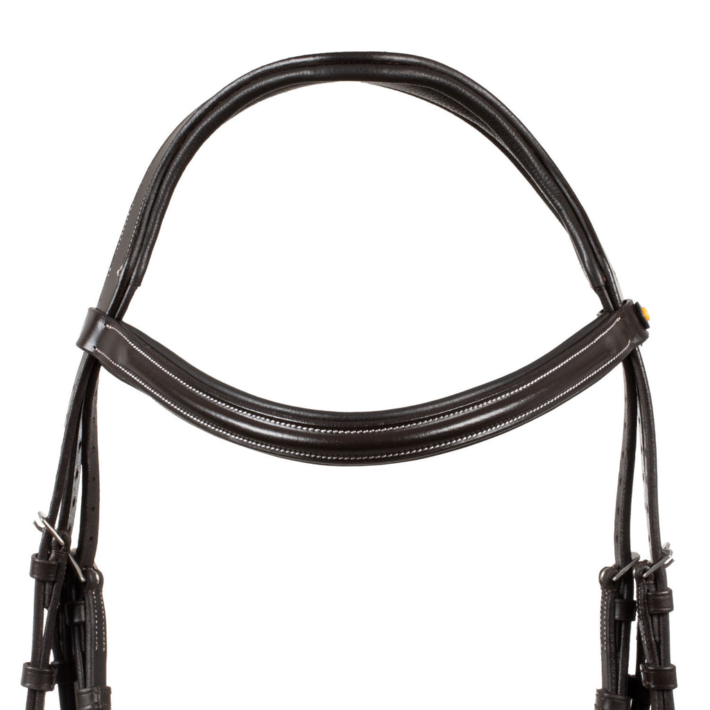 Raised and padded anatomical bridle
