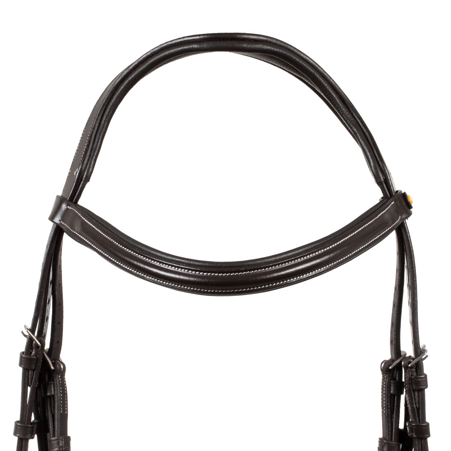 Raised and padded anatomical bridle