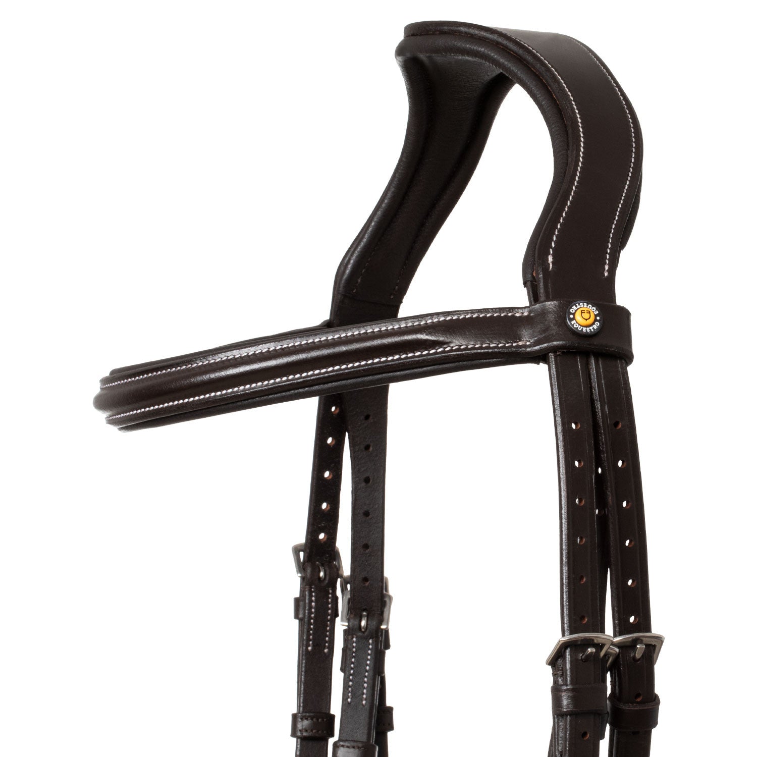 Raised and padded anatomical bridle