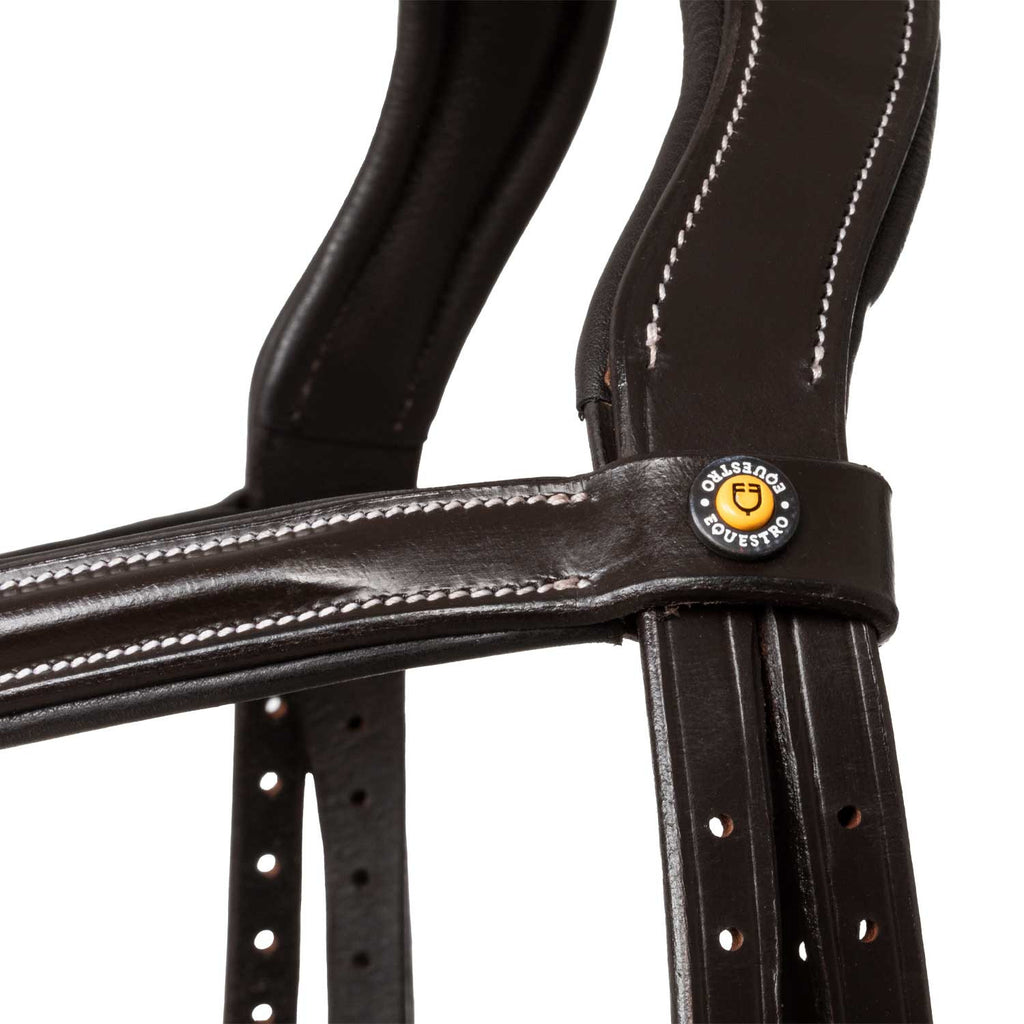 Raised and padded anatomical bridle