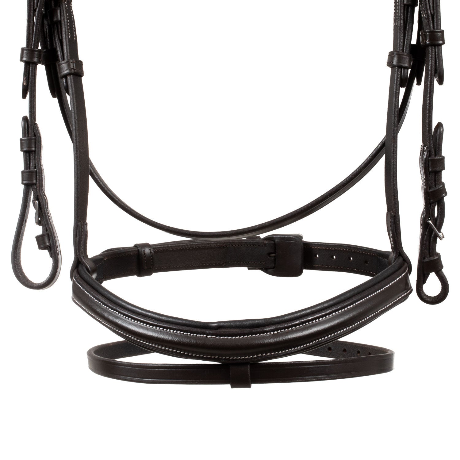 Raised and padded anatomical bridle