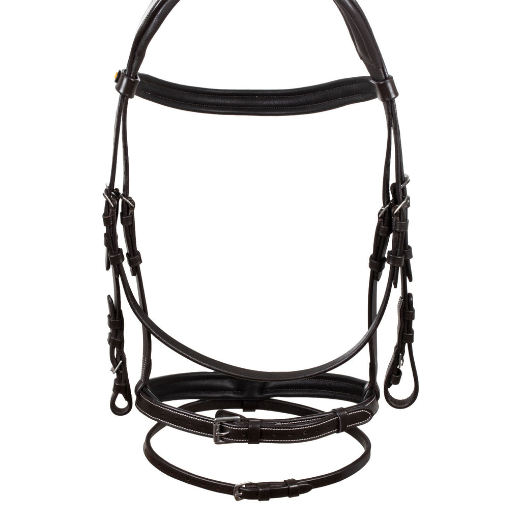 Raised and padded anatomical bridle