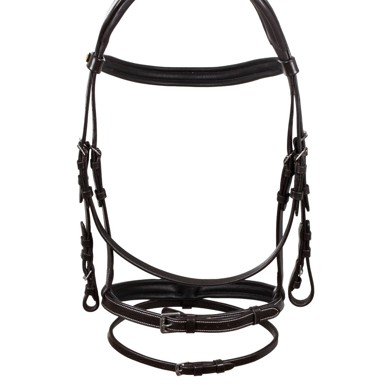 Raised and padded anatomical bridle