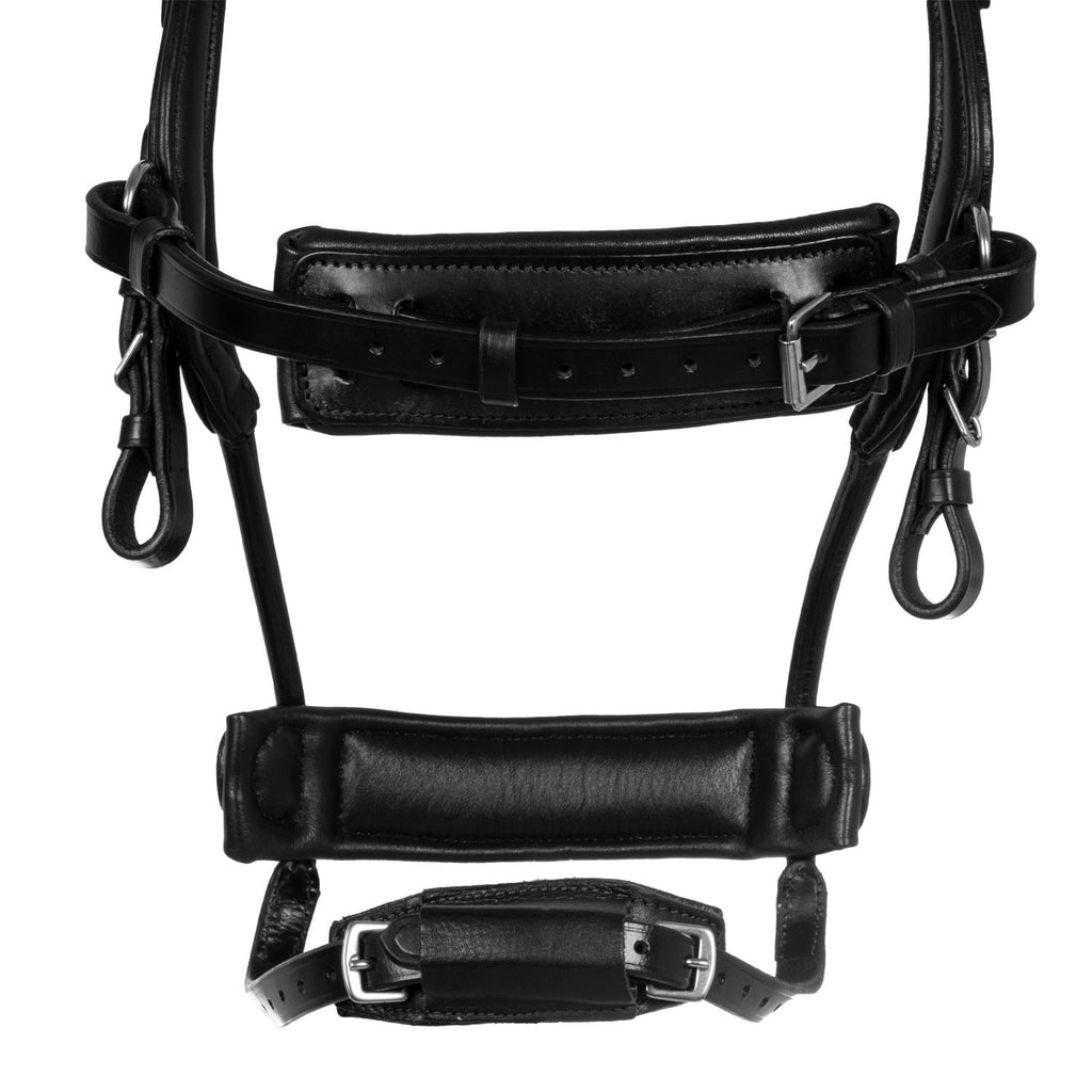 Collegiate comfitec anatomic leather bridle