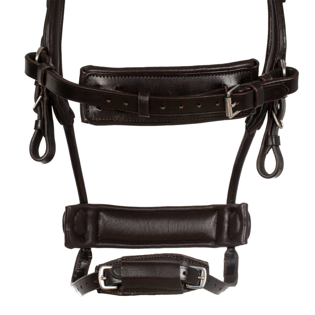 Collegiate comfitec anatomic leather bridle