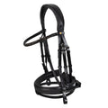 English leather bridle with glittery noseband