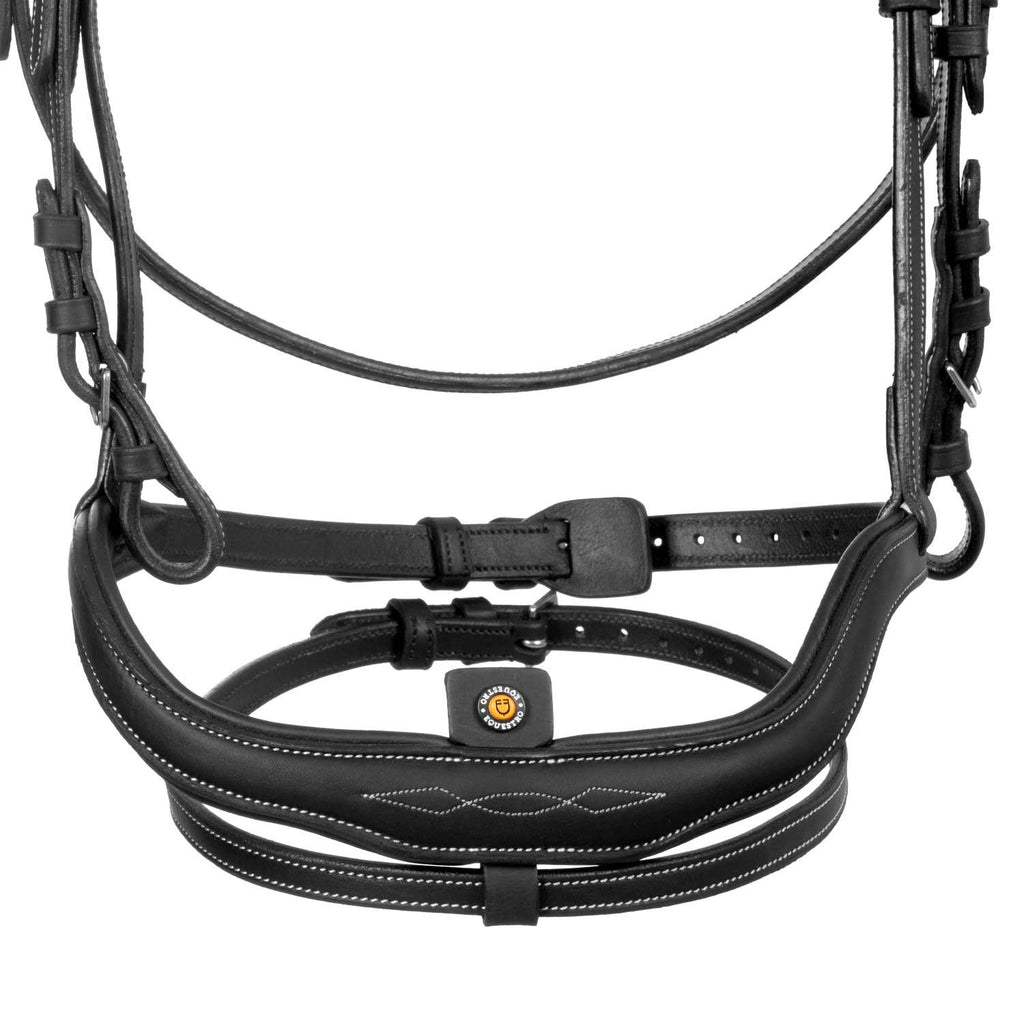 Soft leather stitched bridle