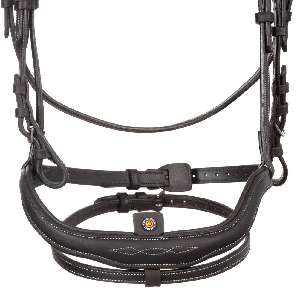 Soft leather stitched bridle