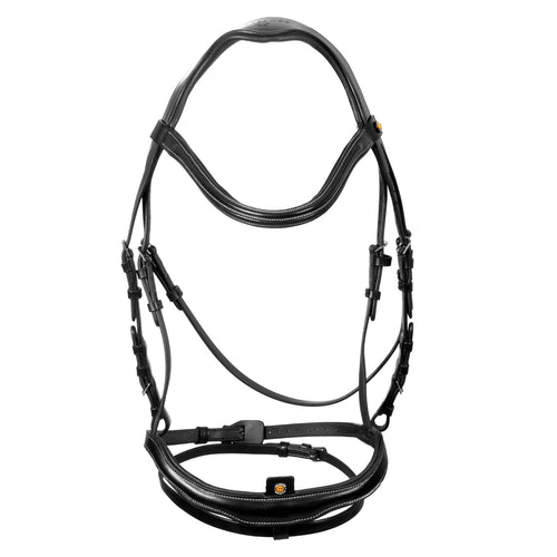 Equestro Anatomical bridle with curved noseband