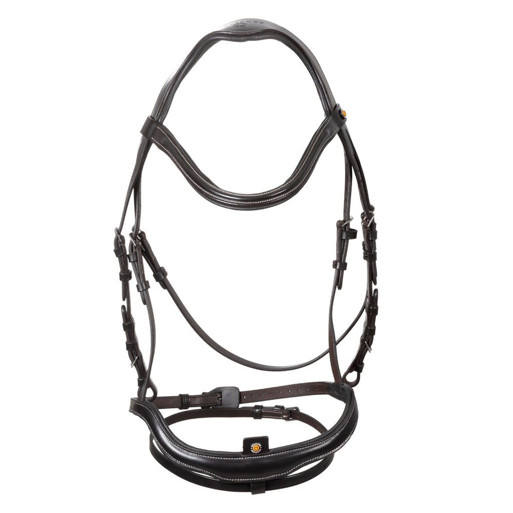 Anatomical bridle with curved noseband