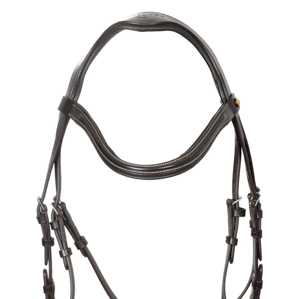 Anatomical bridle with curved noseband