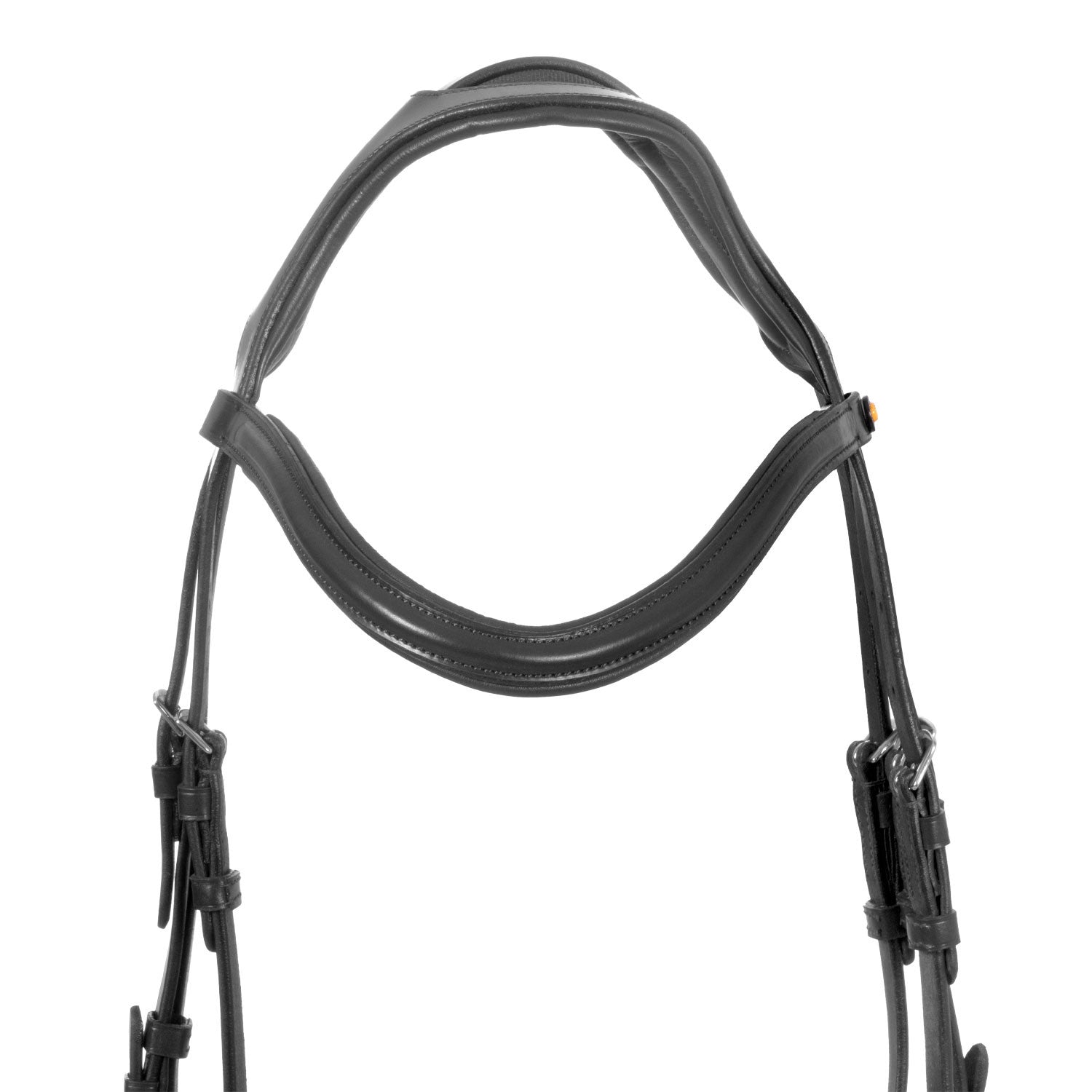 English bridle with anatomical noseband