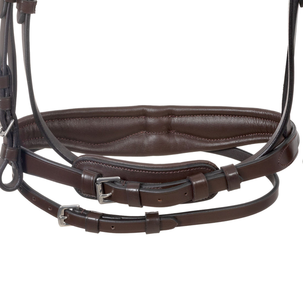 English bridle with anatomical noseband