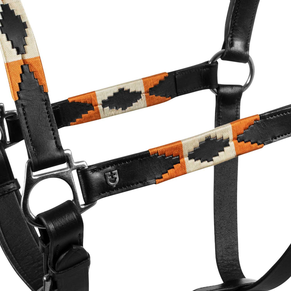 Leather halter with navajo decorations