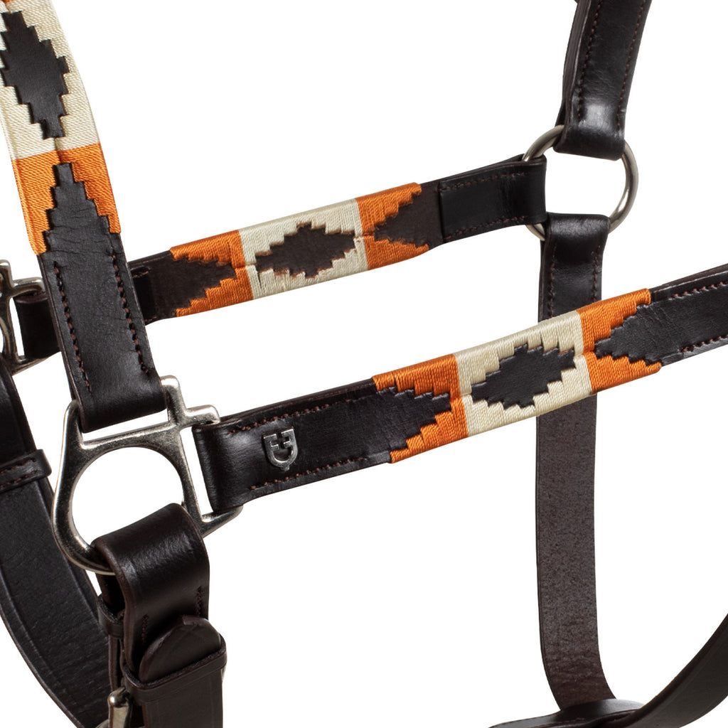 Leather halter with navajo decorations
