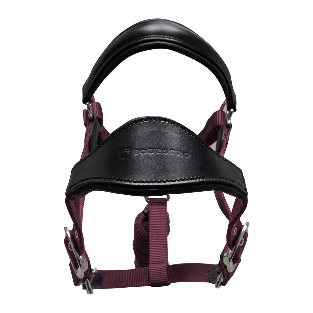 ERGONOMIC HALTER WITH LEATHER INSERTS