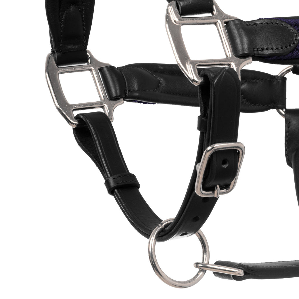Leather halter with braided nylon inserts