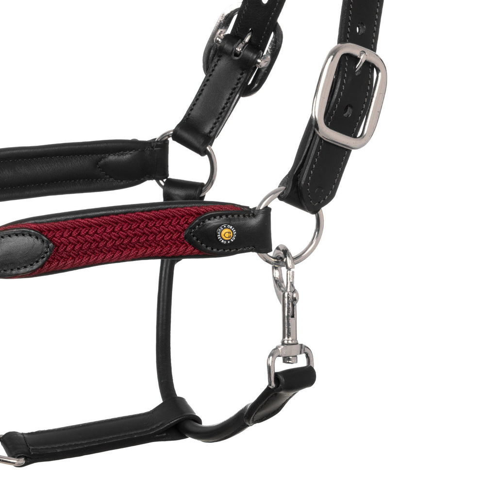 Leather halter with braided nylon inserts