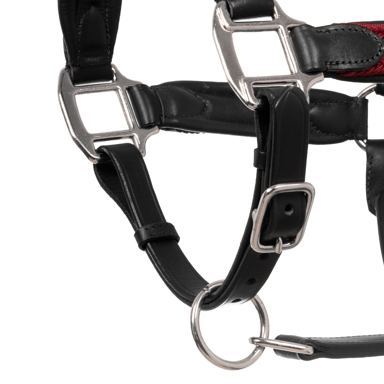 Leather halter with braided nylon inserts