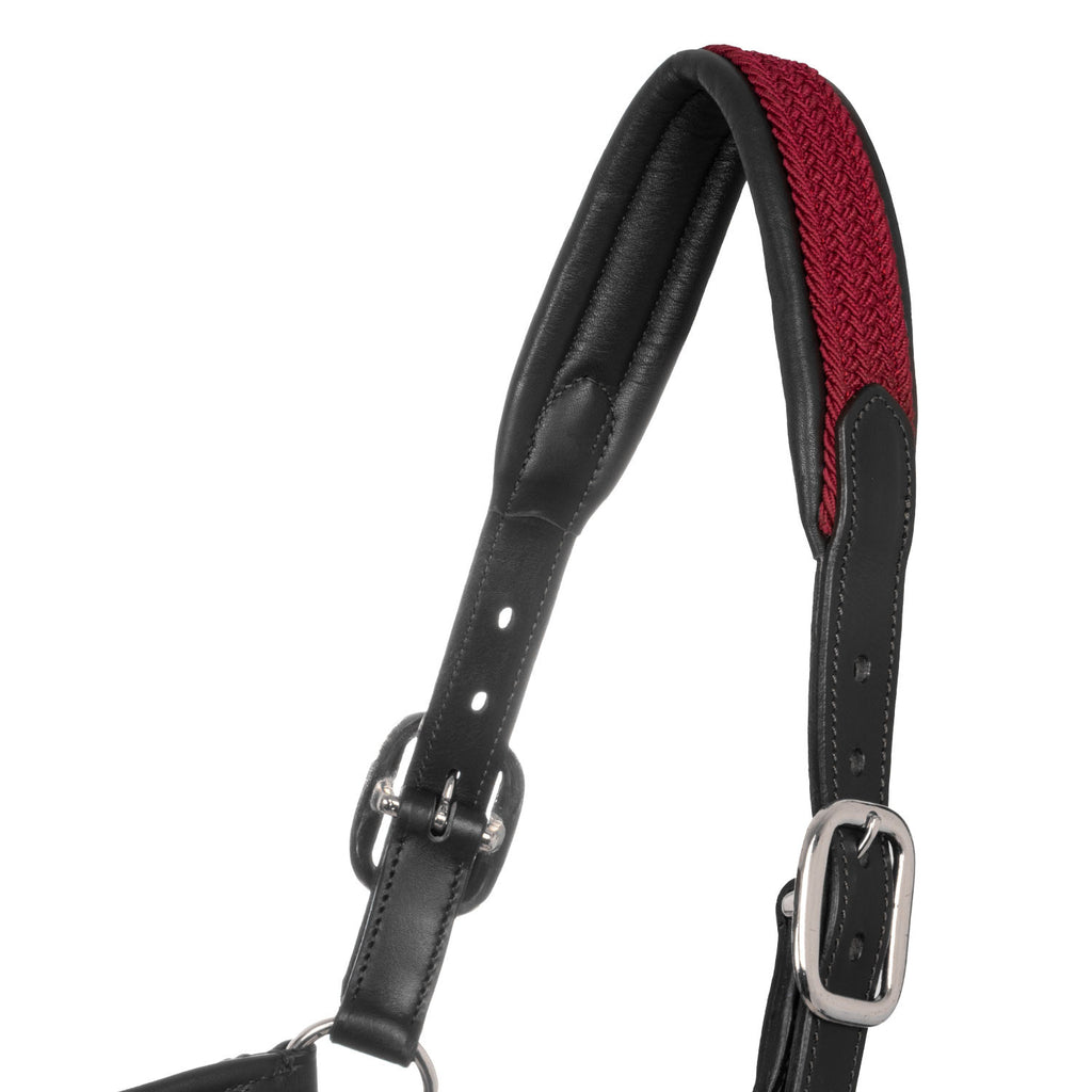 Leather halter with braided nylon inserts