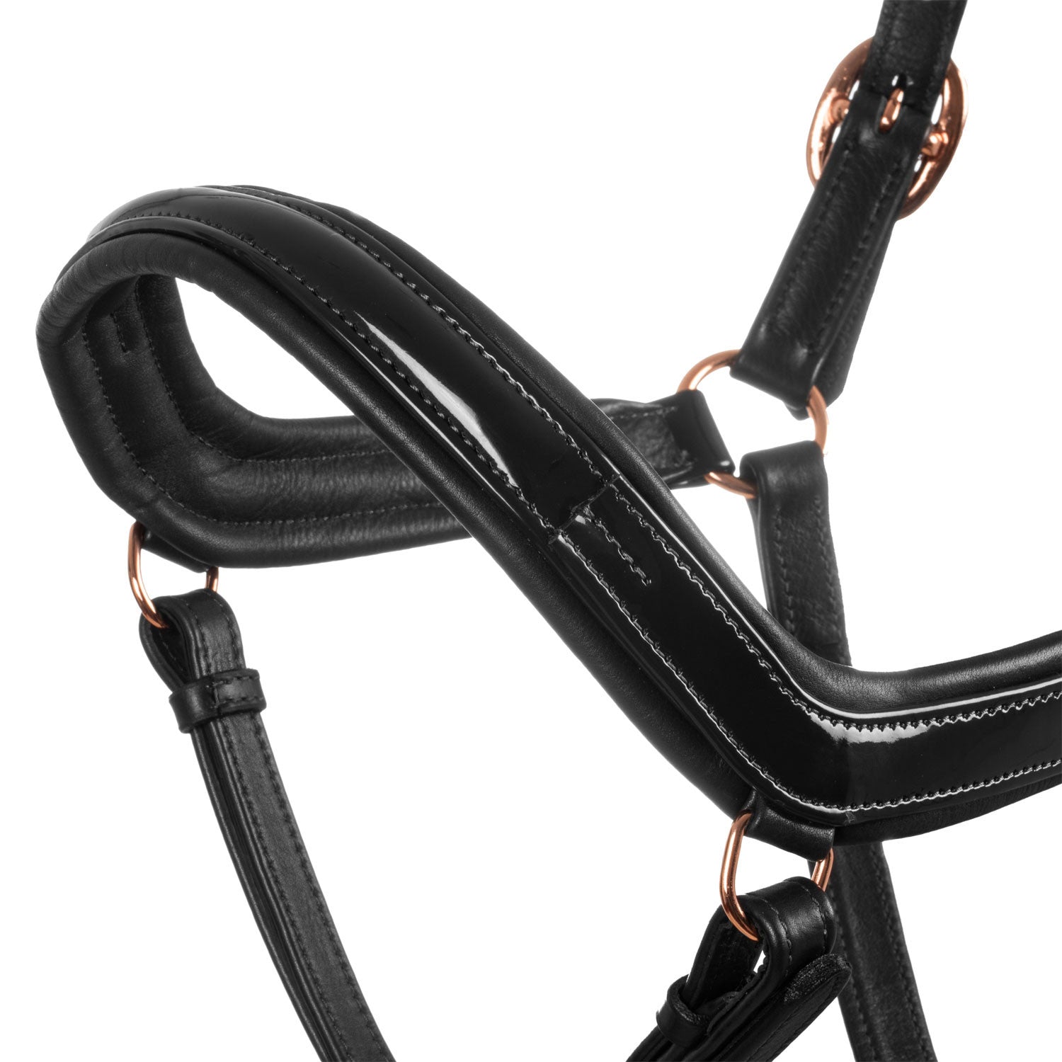 Polished leather halter with rose gold buckles