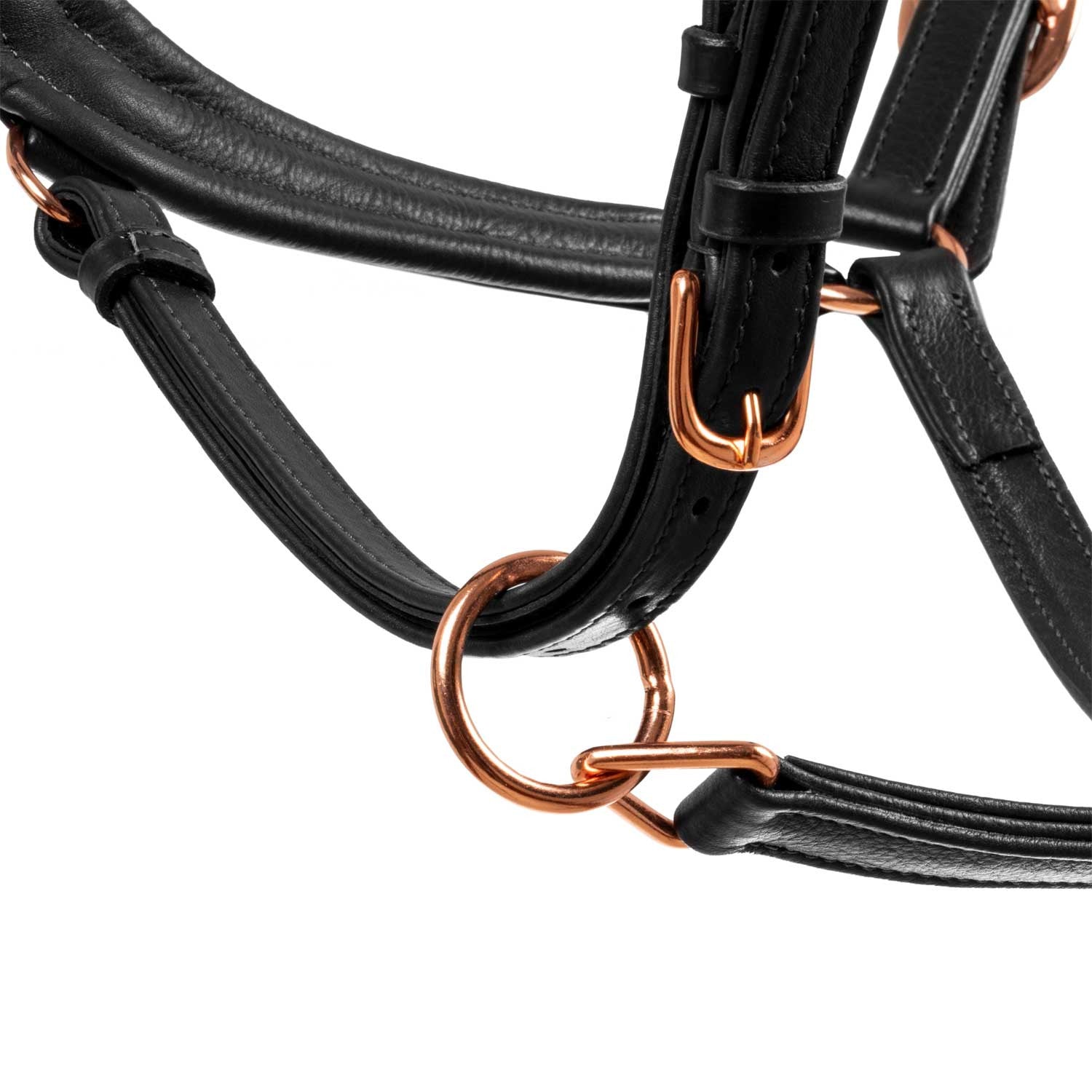 Polished leather halter with rose gold buckles