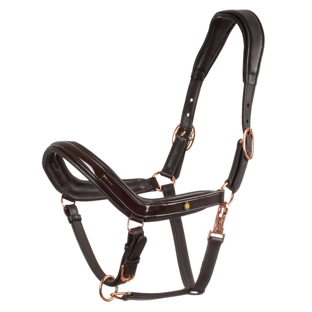 Equestro Polished leather halter with rose gold buckles