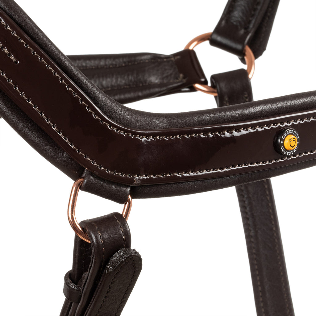 Polished leather halter with rose gold buckles