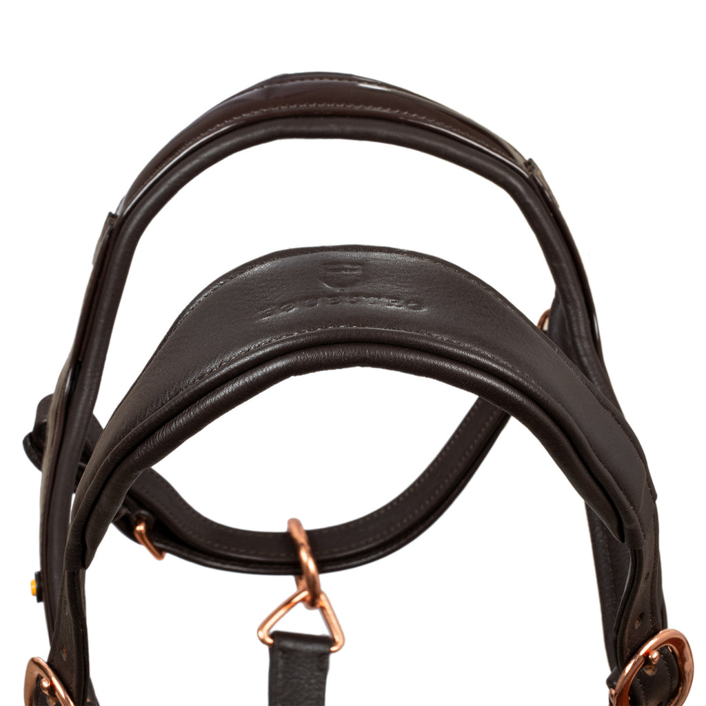 Polished leather halter with rose gold buckles