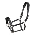 Leather halter with glittery piping