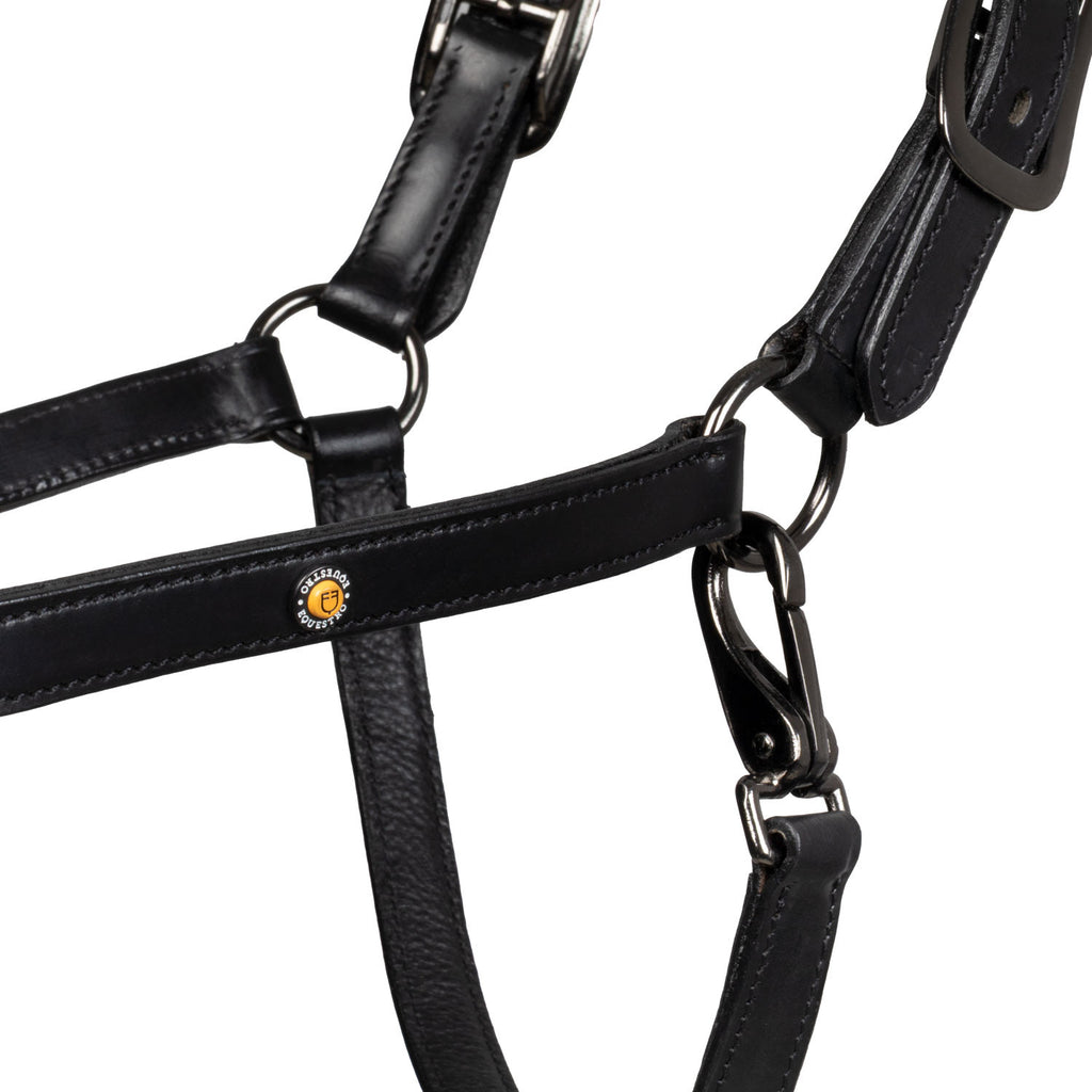 Leather halter with glittery piping