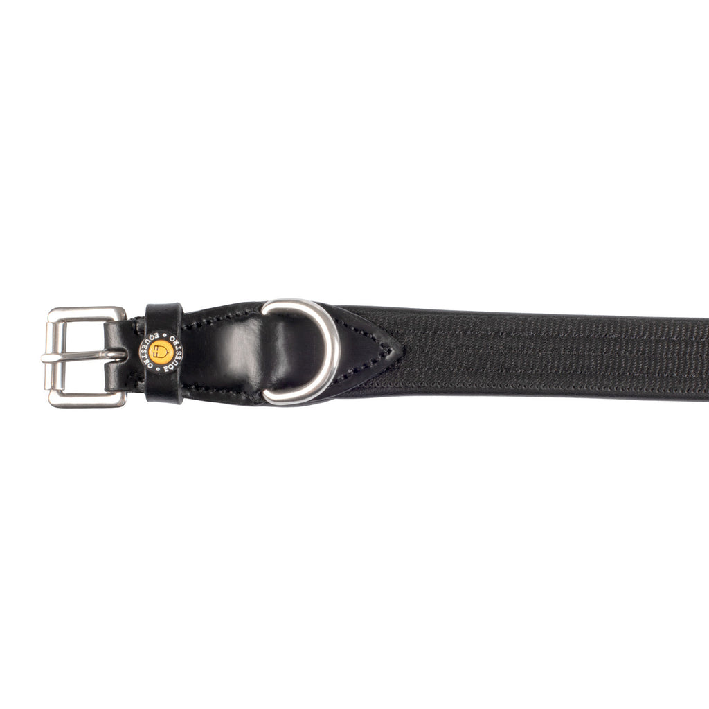 Web dog collar