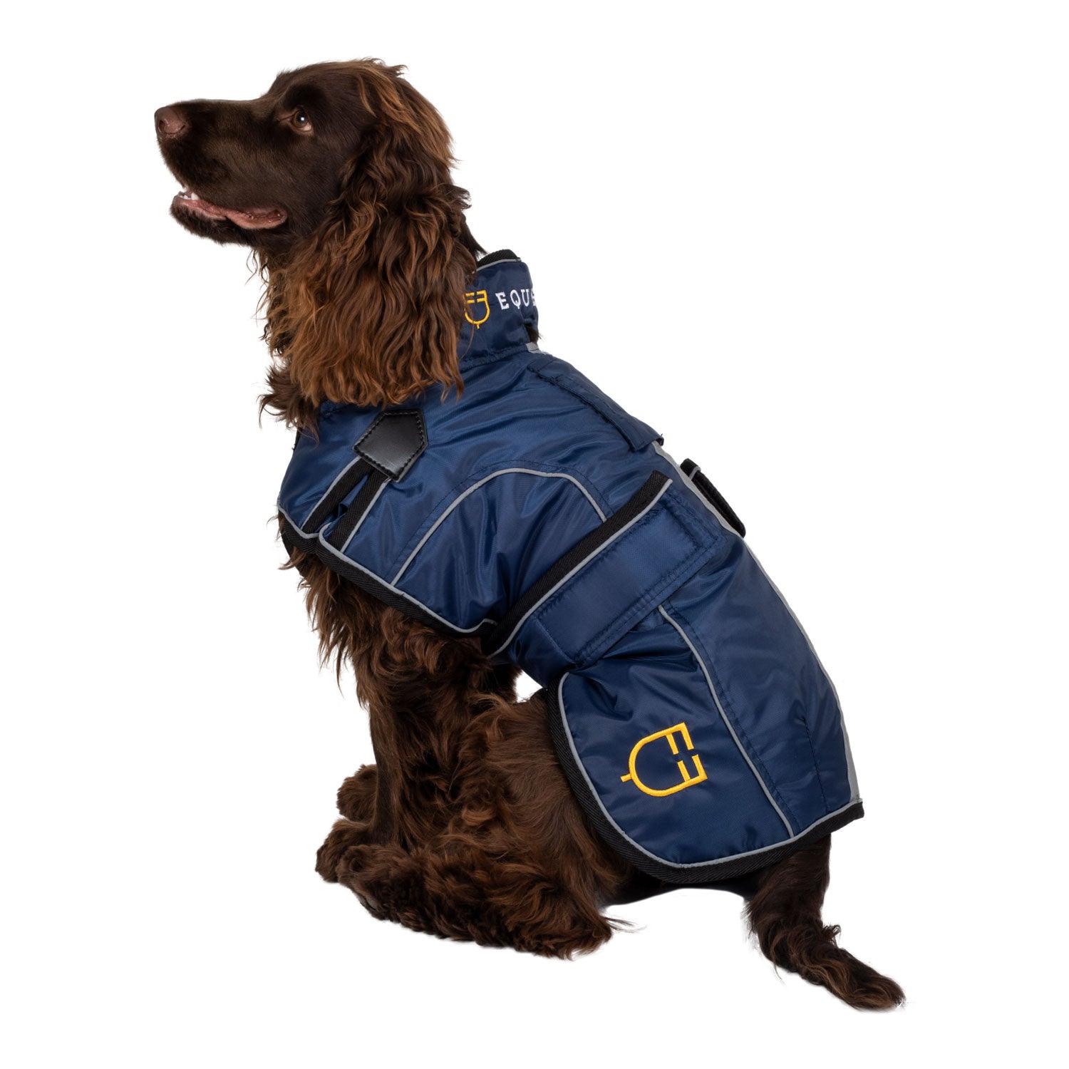 Dog coat with reflective piping