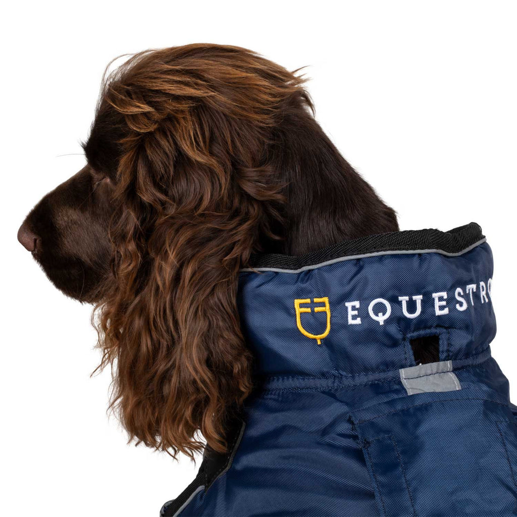 Dog coat with reflective piping