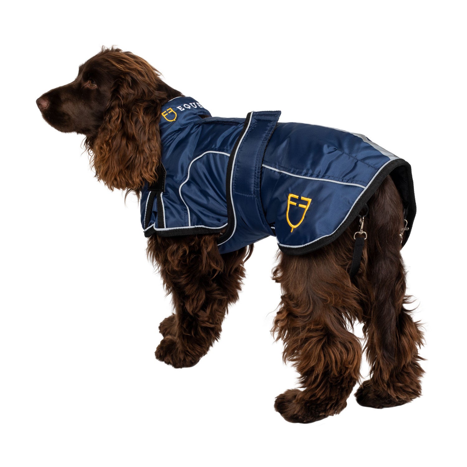 Dog coat with reflective piping