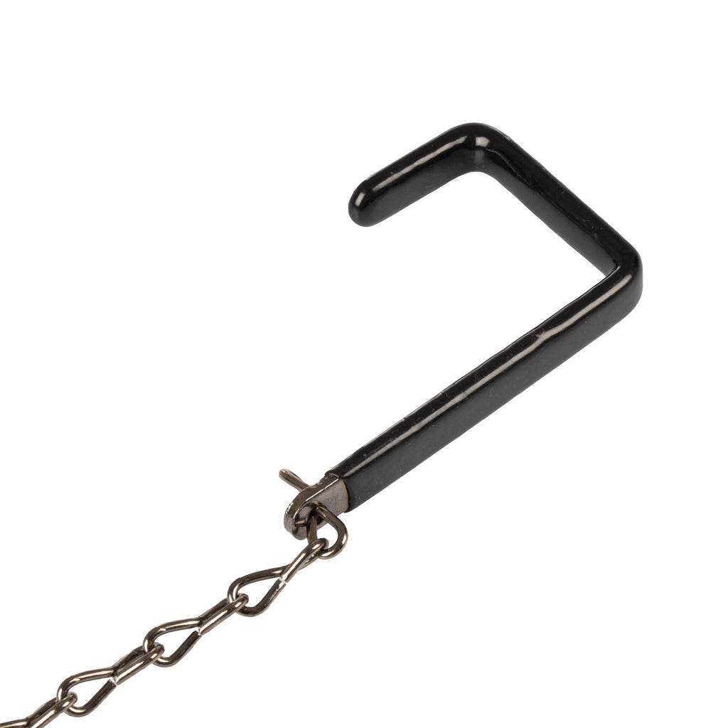 Hook with chain