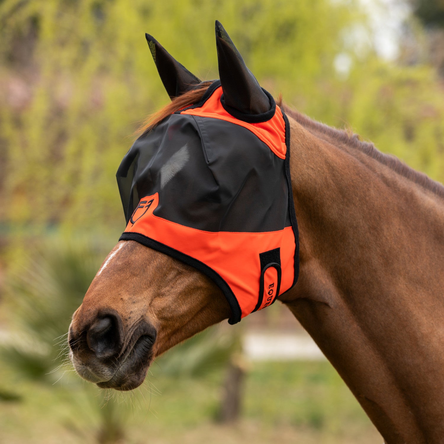 Equestro Fly mask with front logo