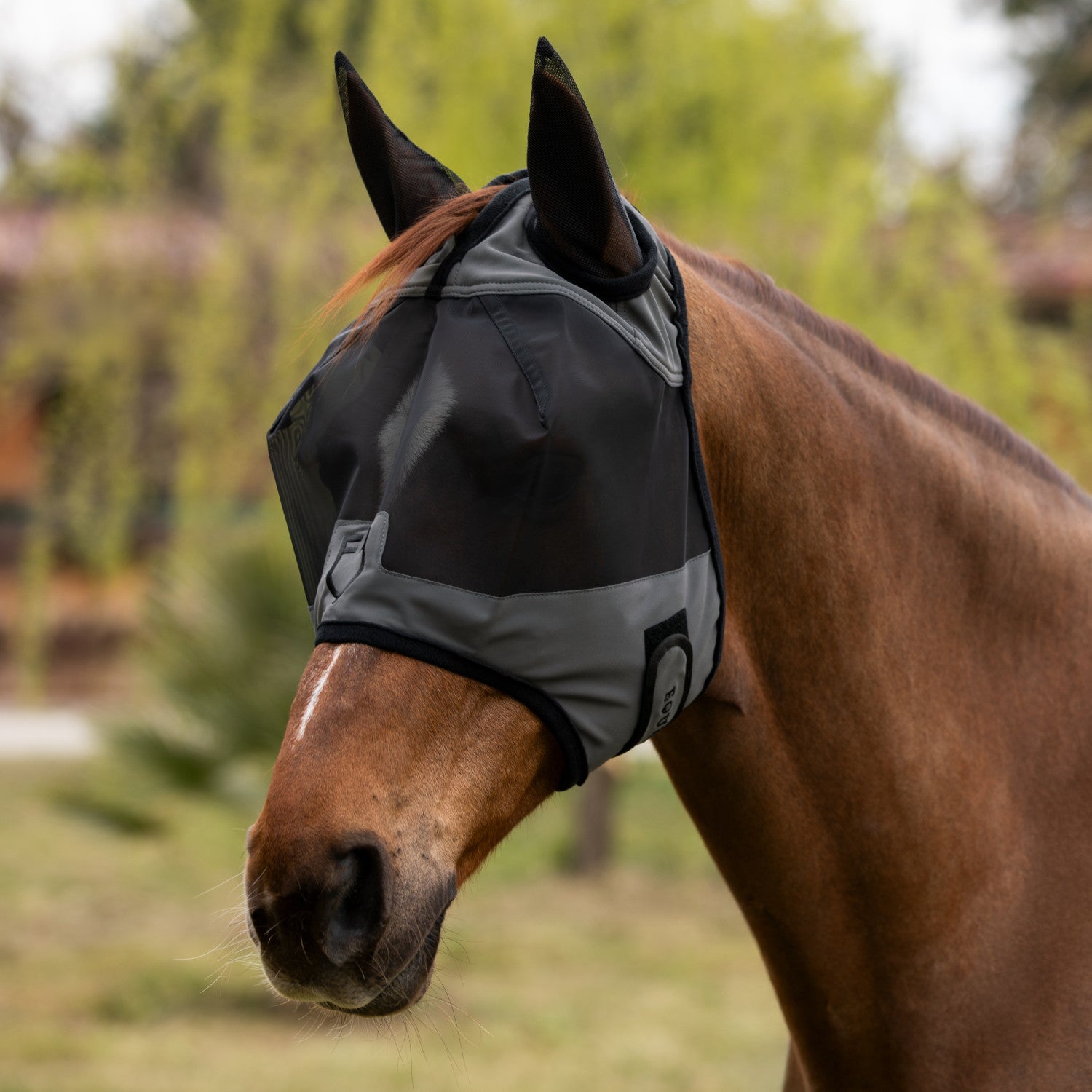 Equestro Fly mask with front logo